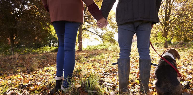 South Sound Preventive Medicine