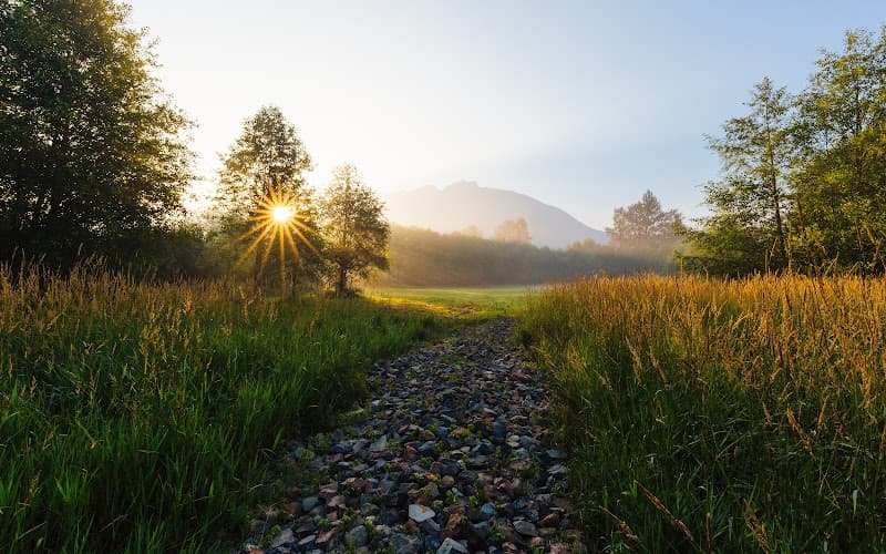 Youth & Vitality Weight Loss Center